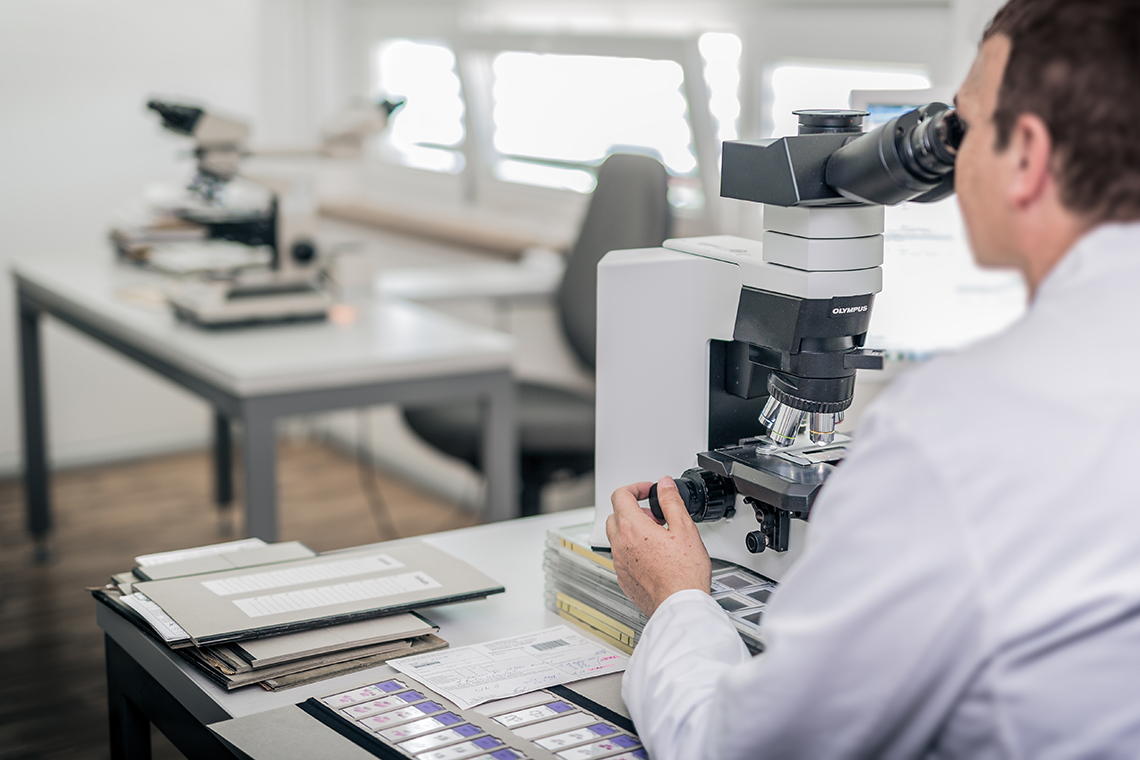 Pathologie MVZ Dresden